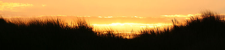 Sunset over Marram Grass